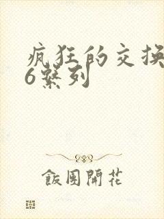 疯狂的交换1一6系列