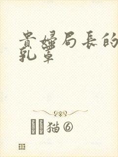 贵妇局长的蕾丝乳罩