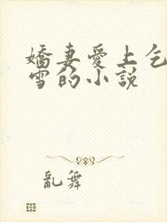 娇妻爱上乞丐陈雪的小说
