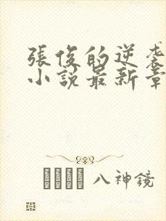 张俊的逆袭之路小说最新章节