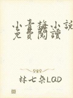 小青梅小说全文免费阅读