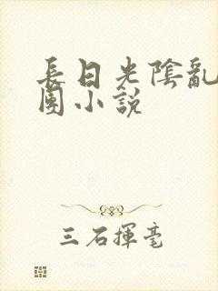 长日光阴乱作一团小说封面