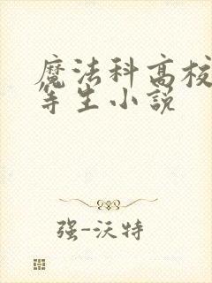 魔法科高校的劣等生小说