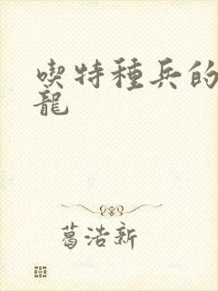 吃特种兵的大黑龙封面