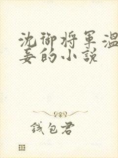 沈御将军温晚小妾的小说