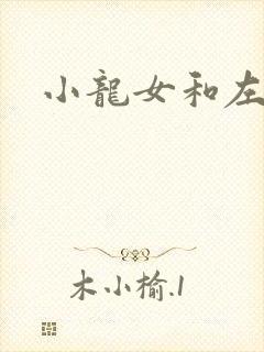小龙女和左剑清封面