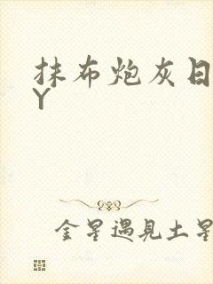 抹布炮灰日记BY