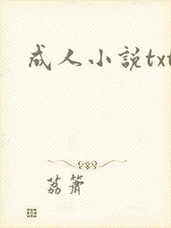 成人小说txt