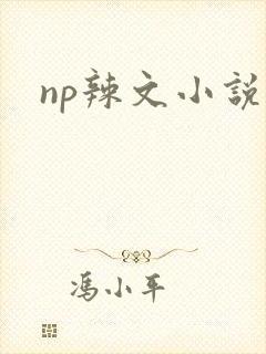np辣文小说封面