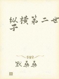 纵横第二世界宽子封面
