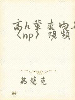 高h荤爽肉欲文〈np〉视频