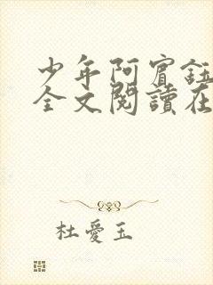 少年阿宾钰慧篇全文阅读在线封面