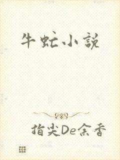 牛虻小说