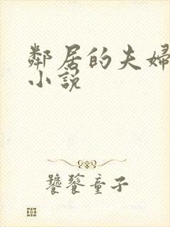 邻居的夫妇交换小说