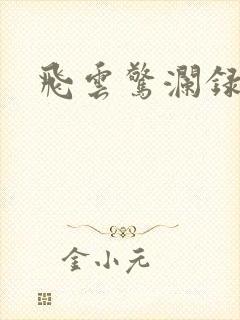 飞云惊澜录
