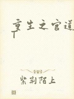 重生之官道TXT封面