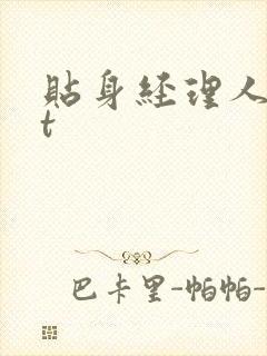 贴身经理人txt封面