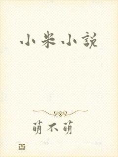 小米小说