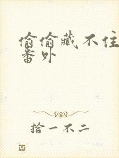 偷偷藏不住新婚番外