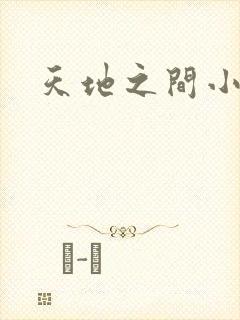 天地之间小说