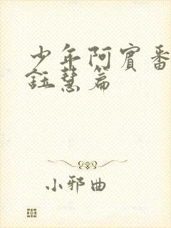 少年阿宾番外篇钰慧篇