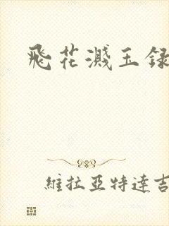 飞花溅玉录