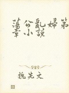 荡公乱妇第51章小说