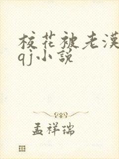 校花被老汉狂肉qj小说封面