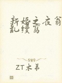 新婚之夜翁莹情乱续写封面