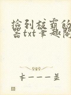 捡到校霸的遥控器txt笔趣阁封面