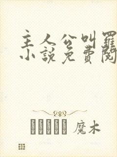 主人公叫罗铮的小说免费阅读笔趣阁封面