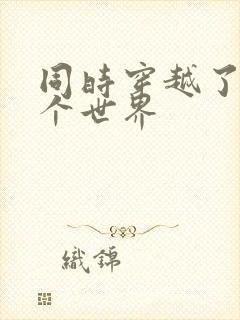 同时穿越了99个世界