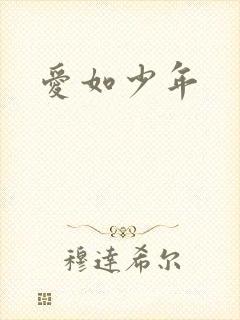 爱如少年封面