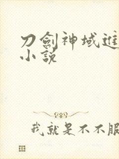 刀剑神域进击篇小说