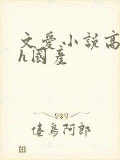 文爱小说高h高h国产