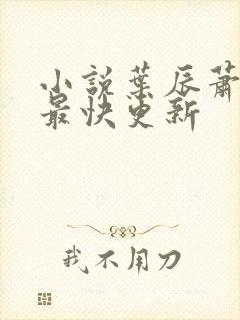 小说叶辰萧初然最快更新