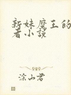 新妹魔王的契约者小说封面
