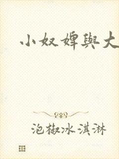 小奴婢与大少爷