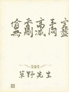 偷香高手完整版无删减网盘封面