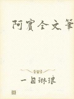 阿宾全文笔趣阁