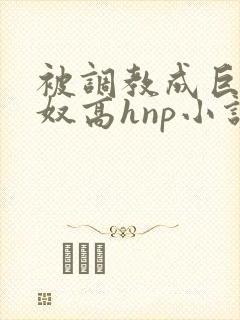 被调教成巨乳奶奴高hnp小说