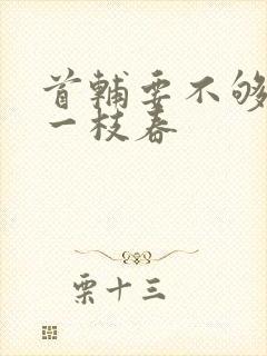 首辅要不够po一枝春