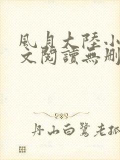 风月大陆小说全文阅读无删减