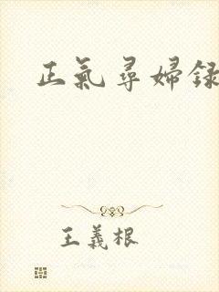 正气寻妇录