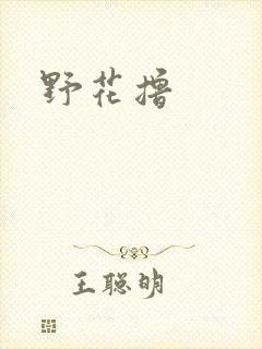 野花撸封面