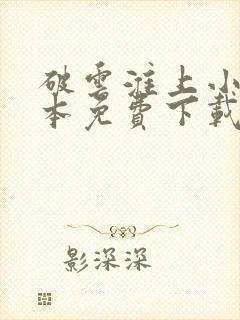 破云淮上小说全本免费下载封面