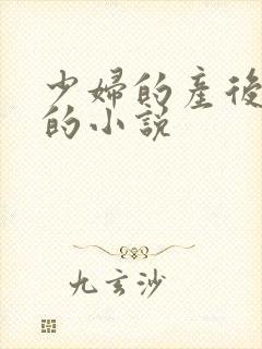 少妇的产后修复的小说