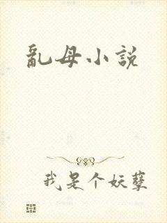 乱母小说