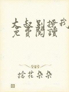 大叔别撩我小说免费阅读