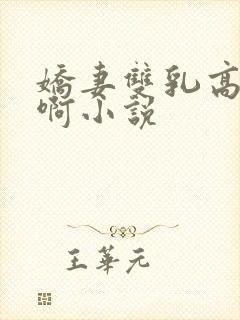 娇妻双乳高耸嗯啊小说